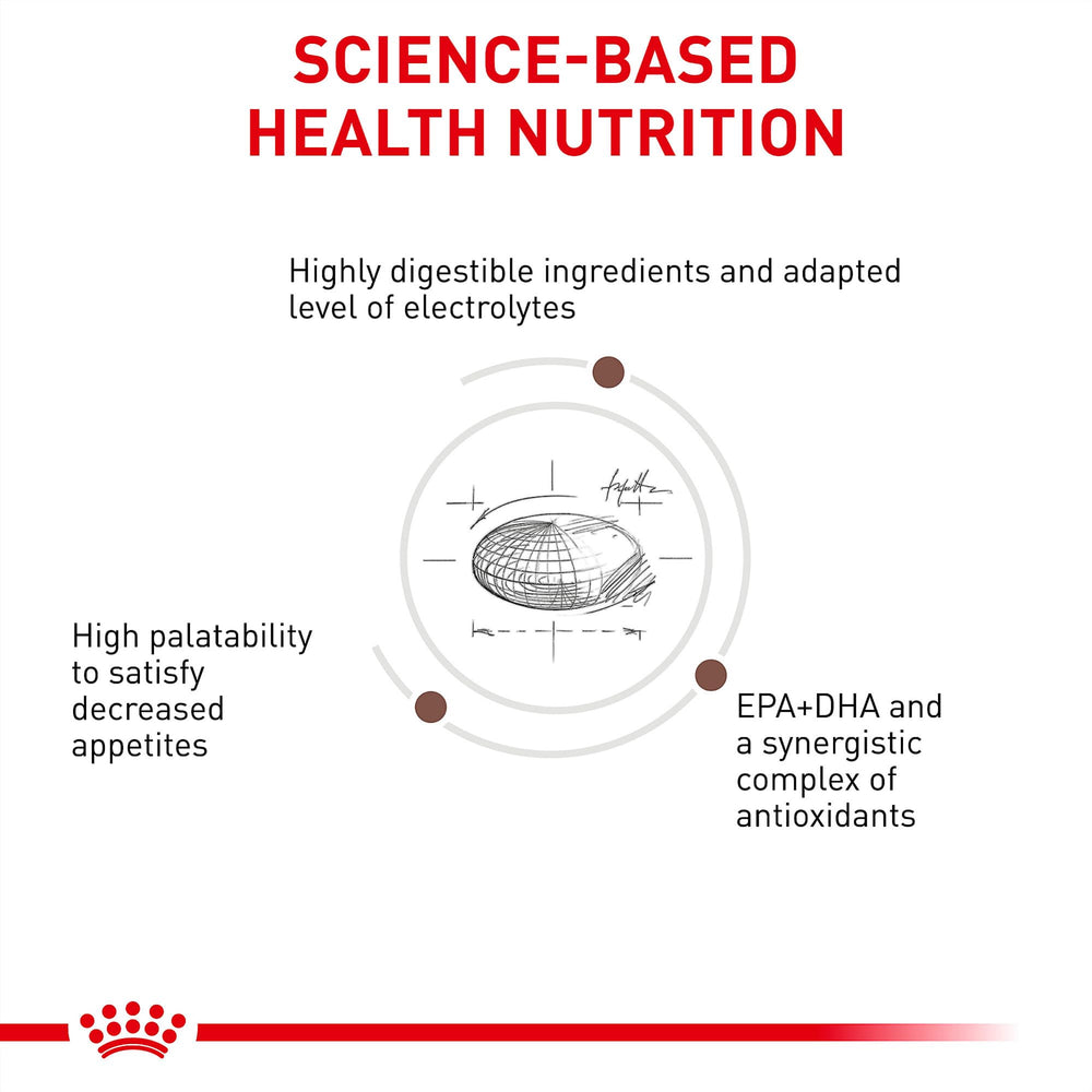 ROYAL CANIN Gastrointestinal kibble close-up highlights palatable texture