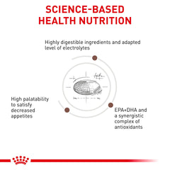 ROYAL CANIN Gastrointestinal kibble close-up highlights palatable texture