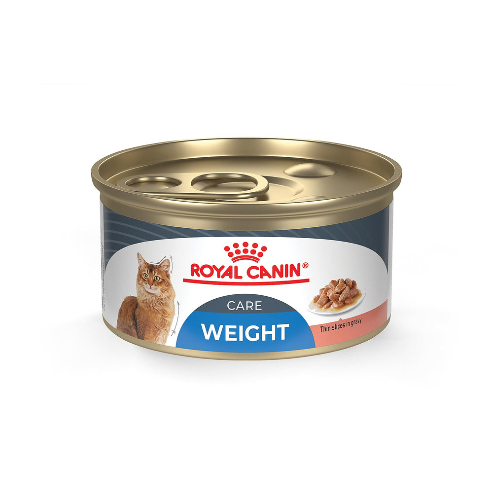 Royal Canin Weight Care Slices in Gravy in a bowl showing easy-to-eat texture.