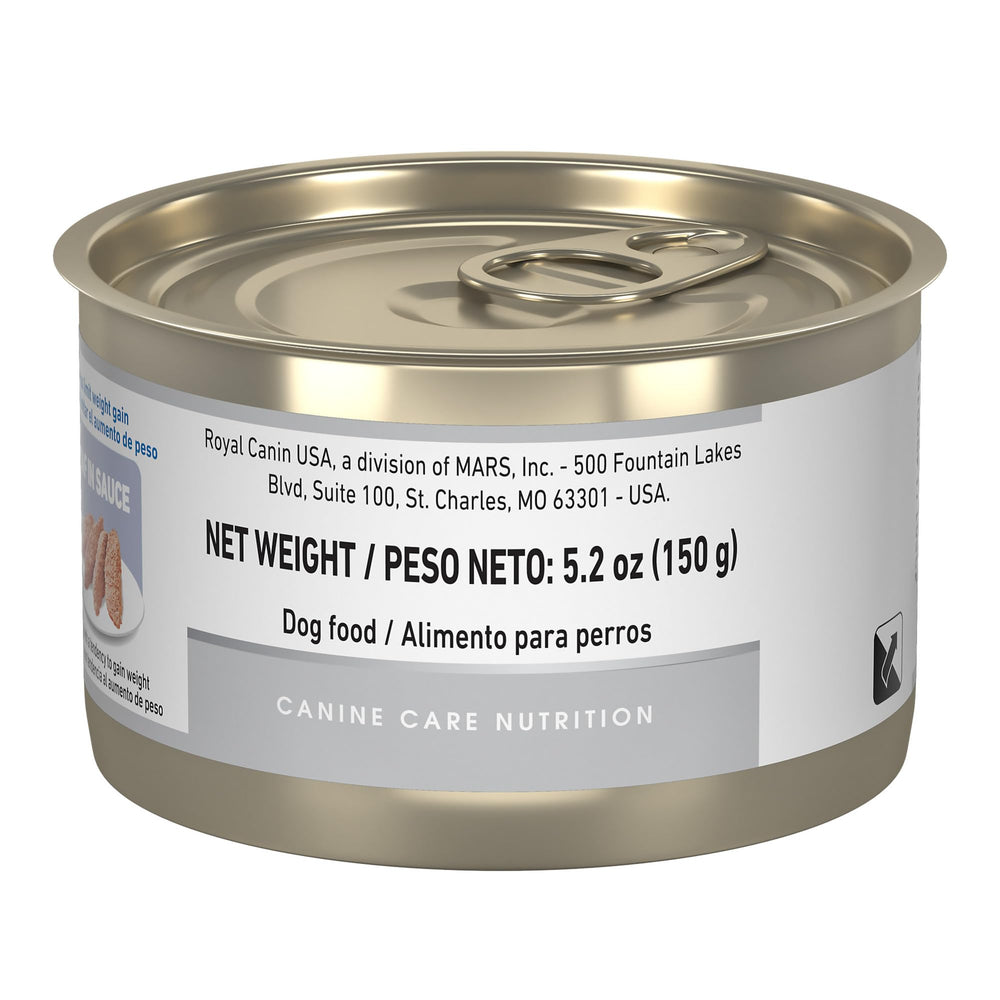 High-angle view of Royal Canin Weight Care loaf in sauce meal