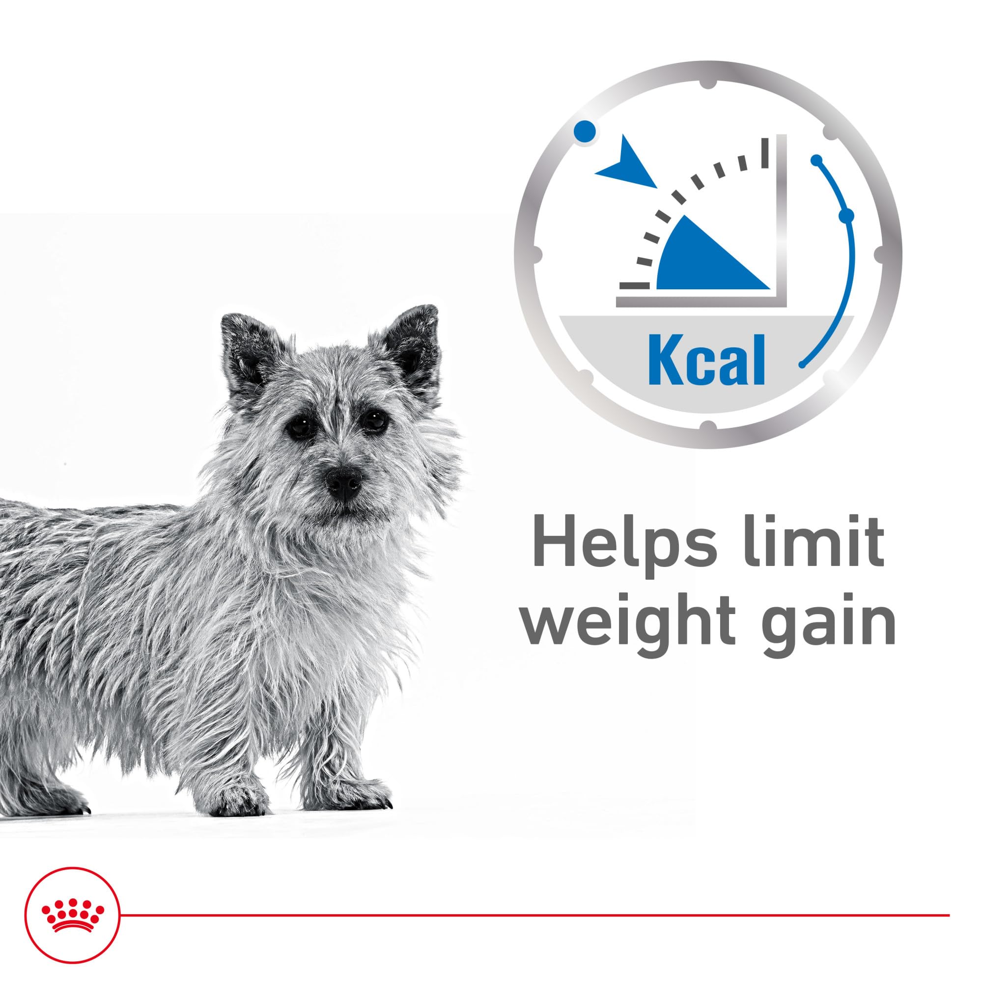 Royal Canin Weight Care loaf in sauce serving bowl ready to serve