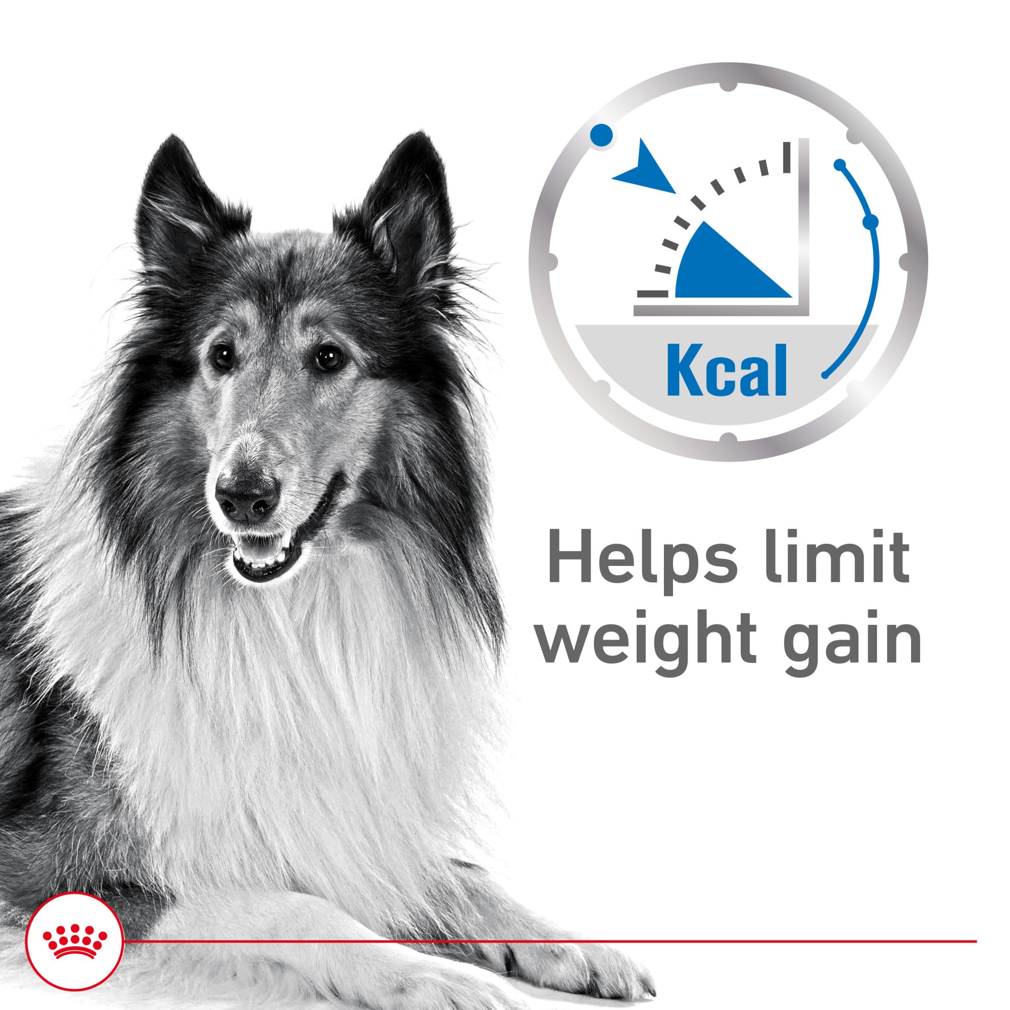 Royal Canin Weight Care loaf in sauce texture shown for a satisfying meal