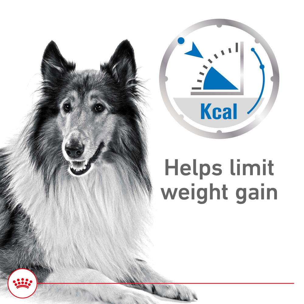 Royal Canin Weight Care loaf in sauce texture shown for a satisfying meal