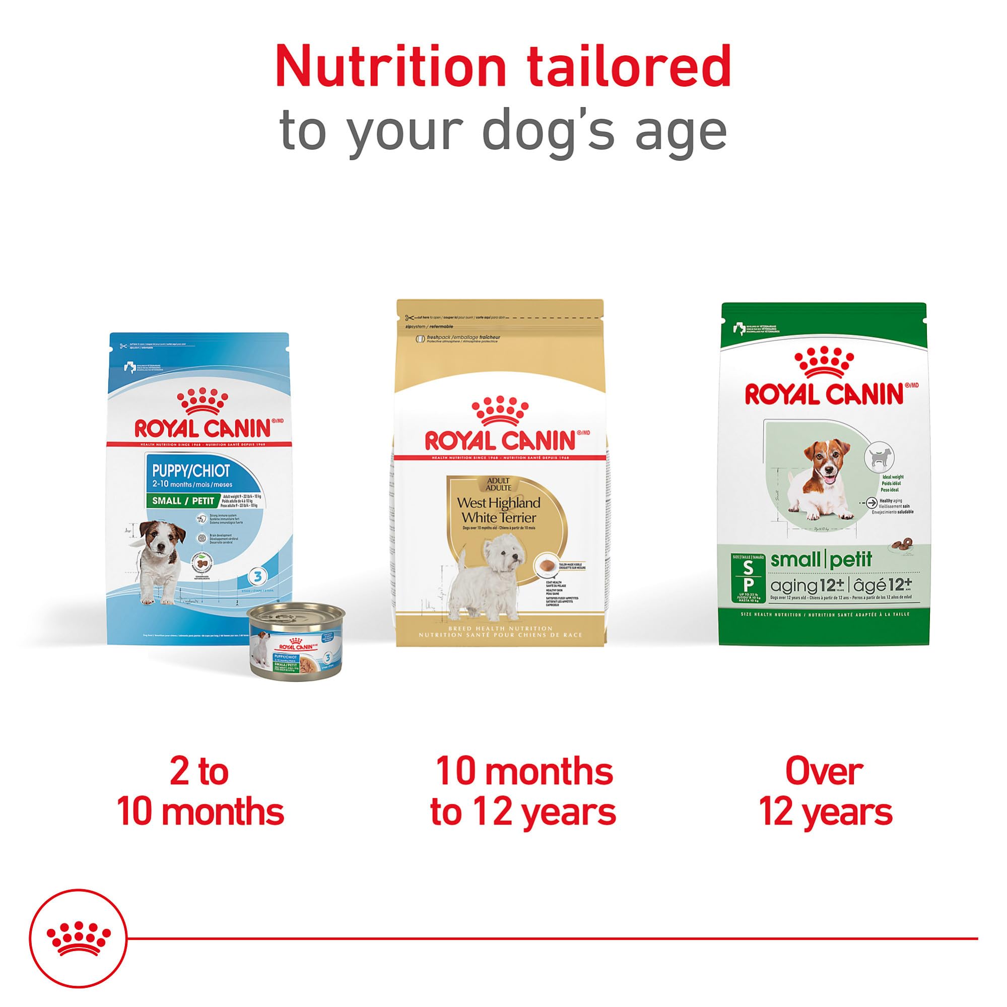 Royal Canin West Highland White Terrier amino acids and omega fats support coat health