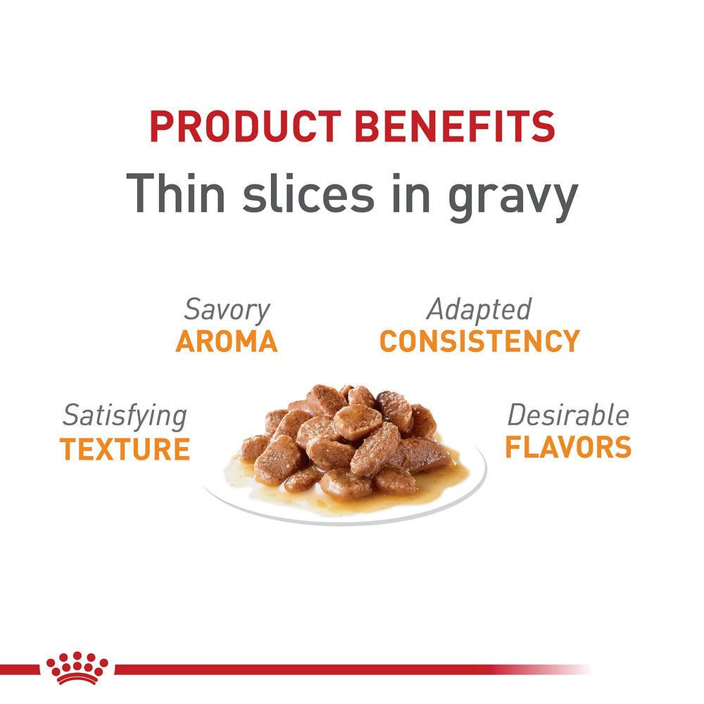 Royal Canin wet cat food gravy texture close-up