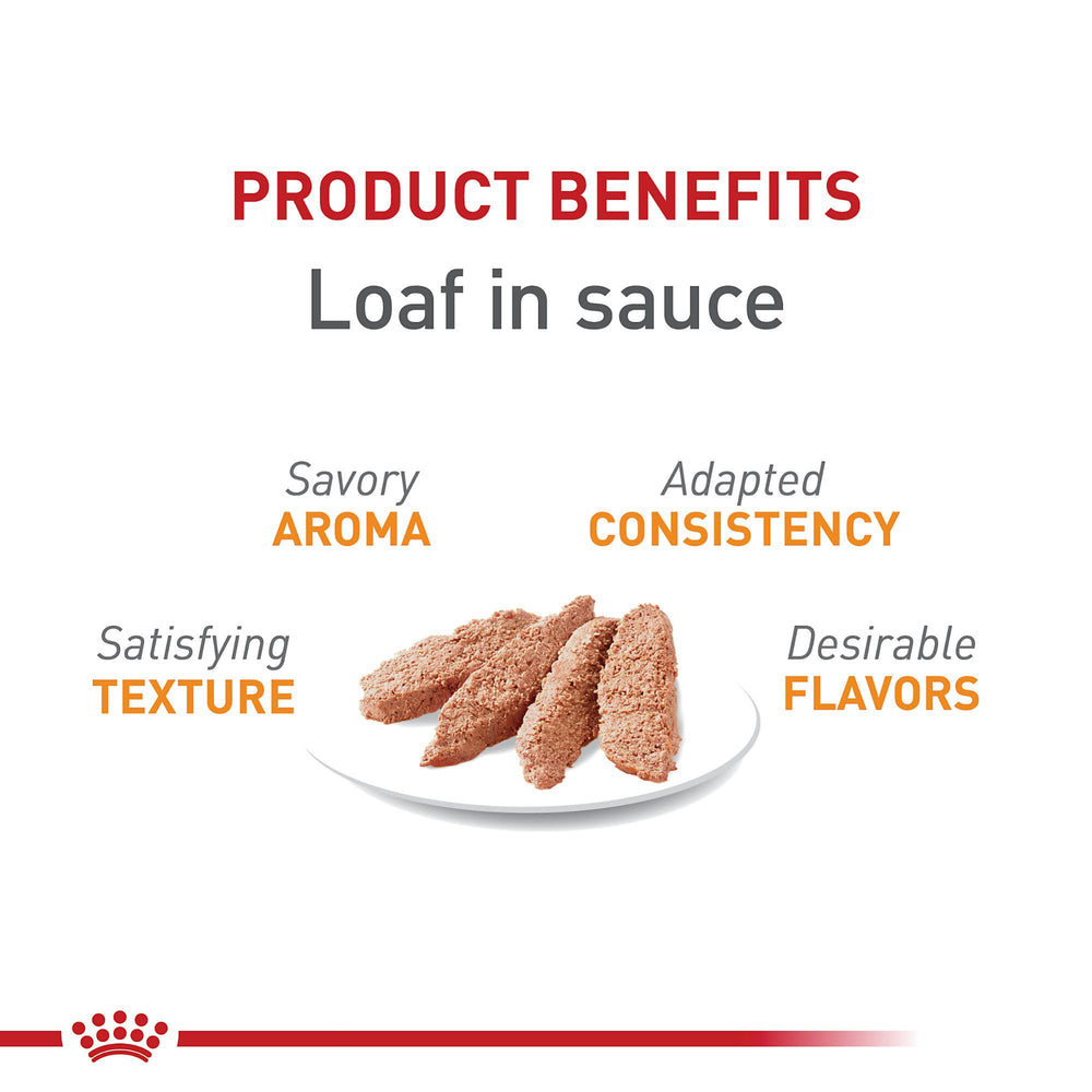 Royal Canin wet loaf close-up shows moist texture for palatable meals