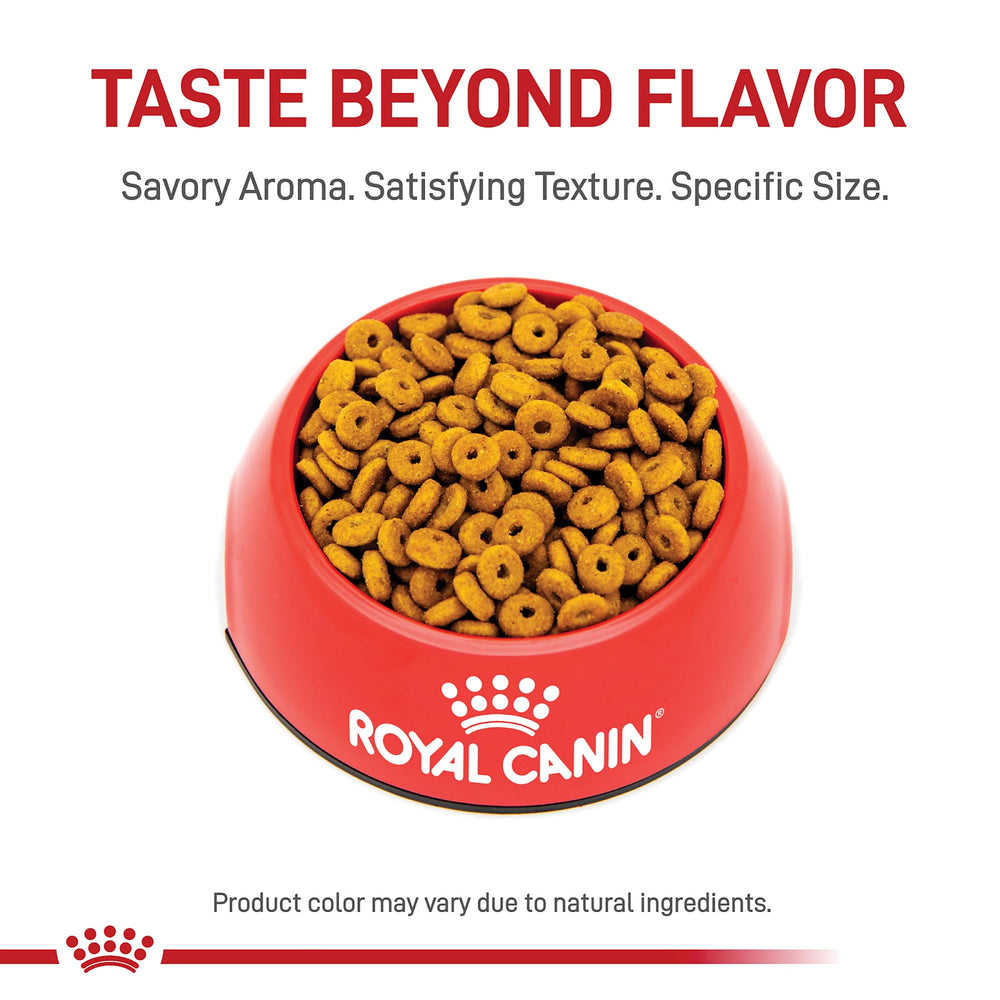 Royal Canin wet food pairing idea suggesting a complementary meal option