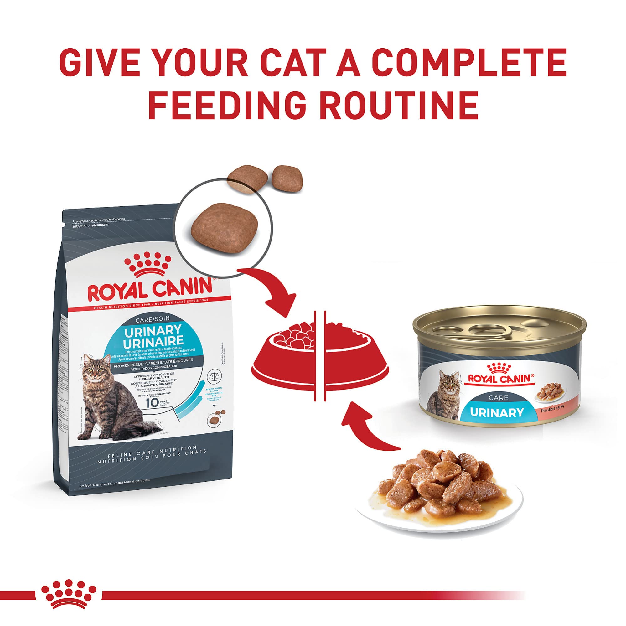 Royal Canin wet food texture closeup displaying soft thin slices in gravy.