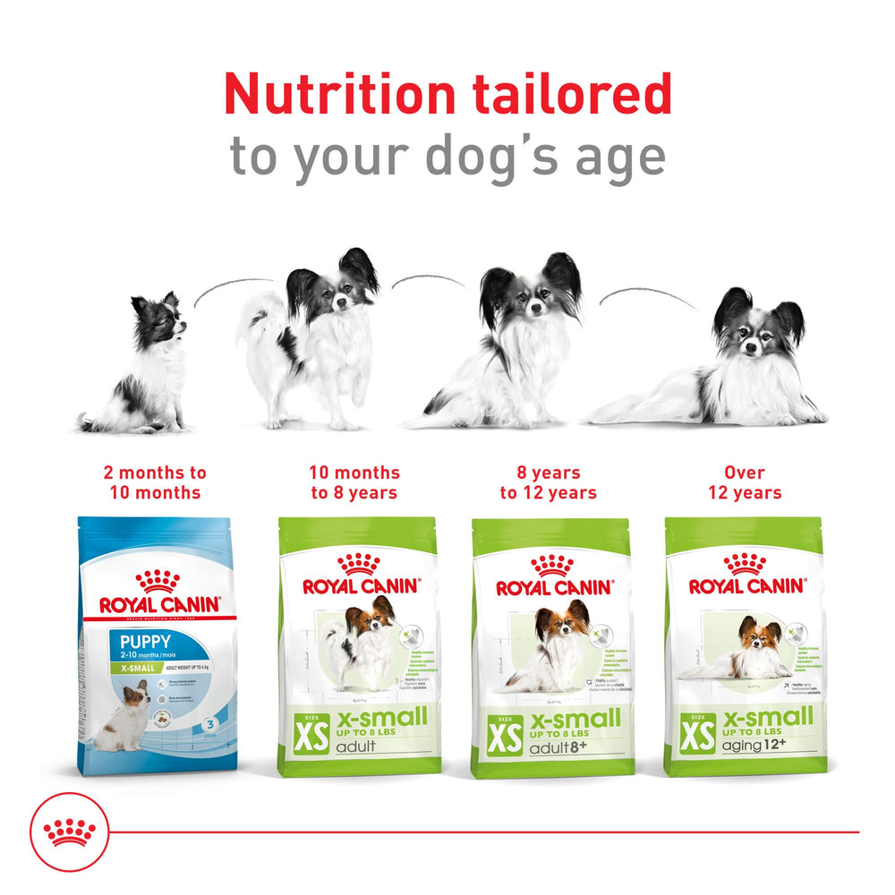 Royal Canin X-Small 8+ packaging signals age-specific guidance.