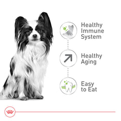 Royal Canin X-Small Aging 12+ rehydration-ready kibble for softer textures.