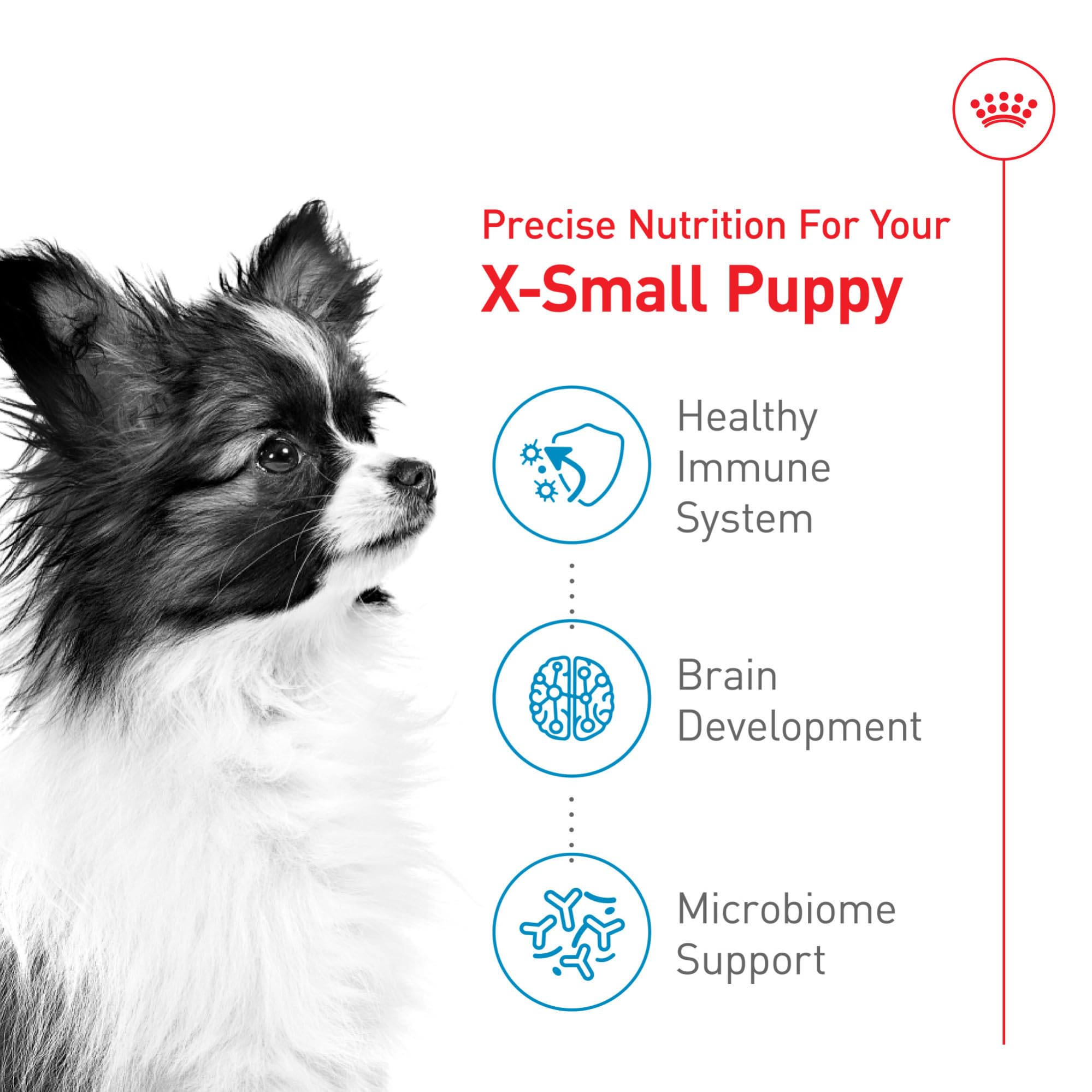 Royal Canin X-Small Puppy dry food portion ready to serve
