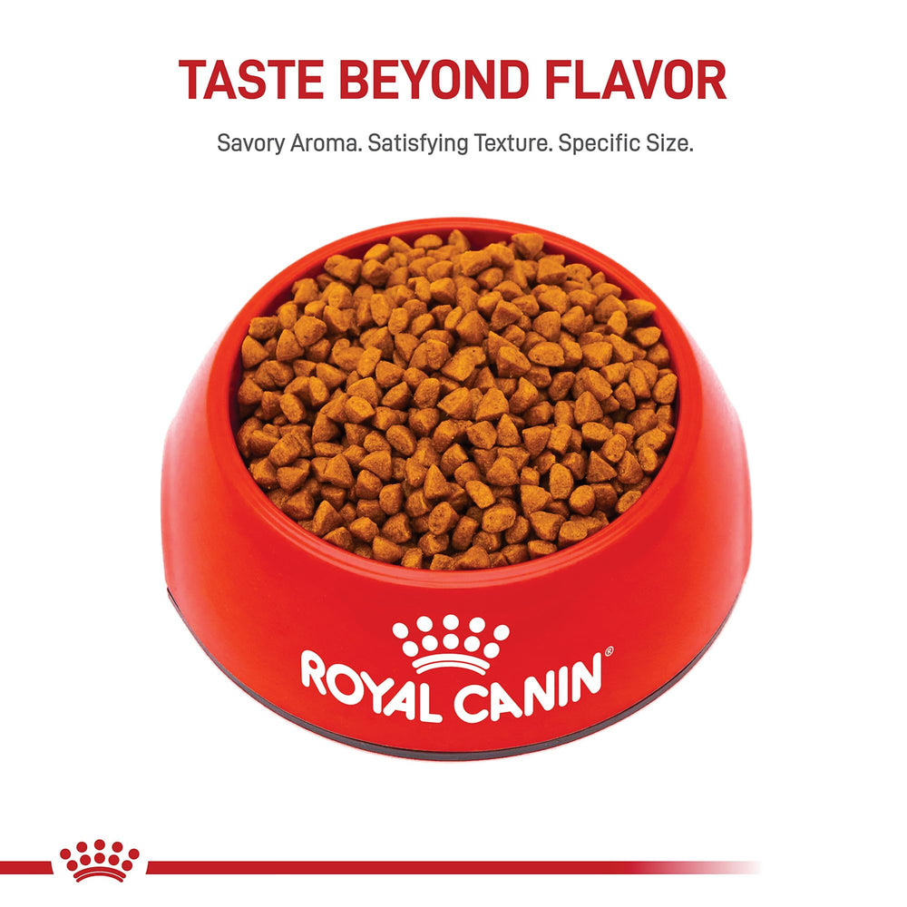 Royal Canin X-Small Puppy tailored nutrition within the Royal Canin range.