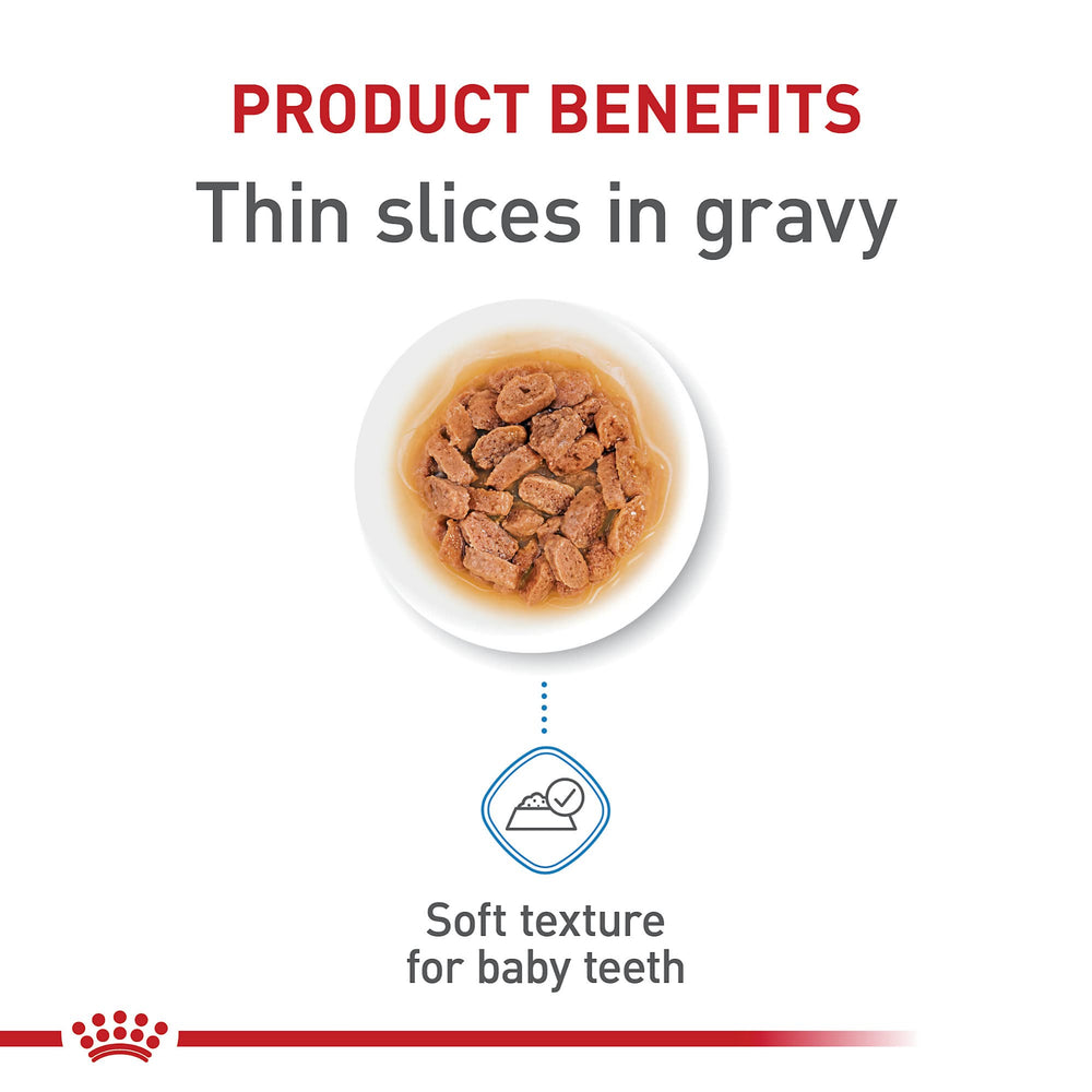 Royal Canin XS puppy bowl during mealtime showing easy-to-chew slices