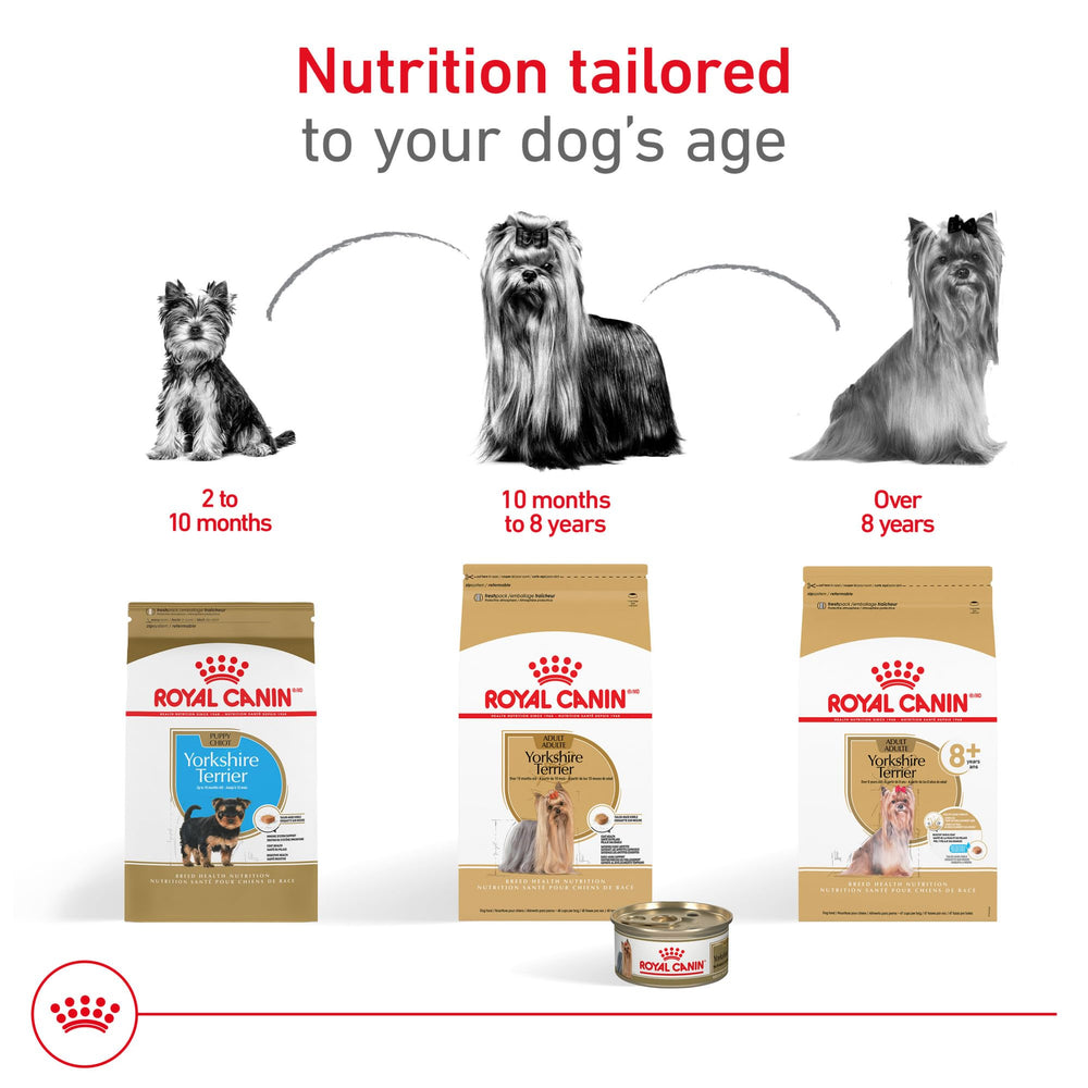 Royal Canin Yorkshire Terrier 8+ close-up of age-appropriate small kibble.