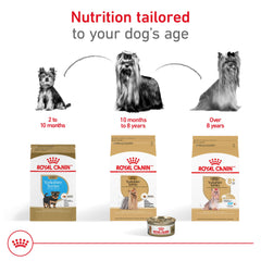 Royal Canin Yorkshire Terrier 8+ close-up of age-appropriate small kibble.