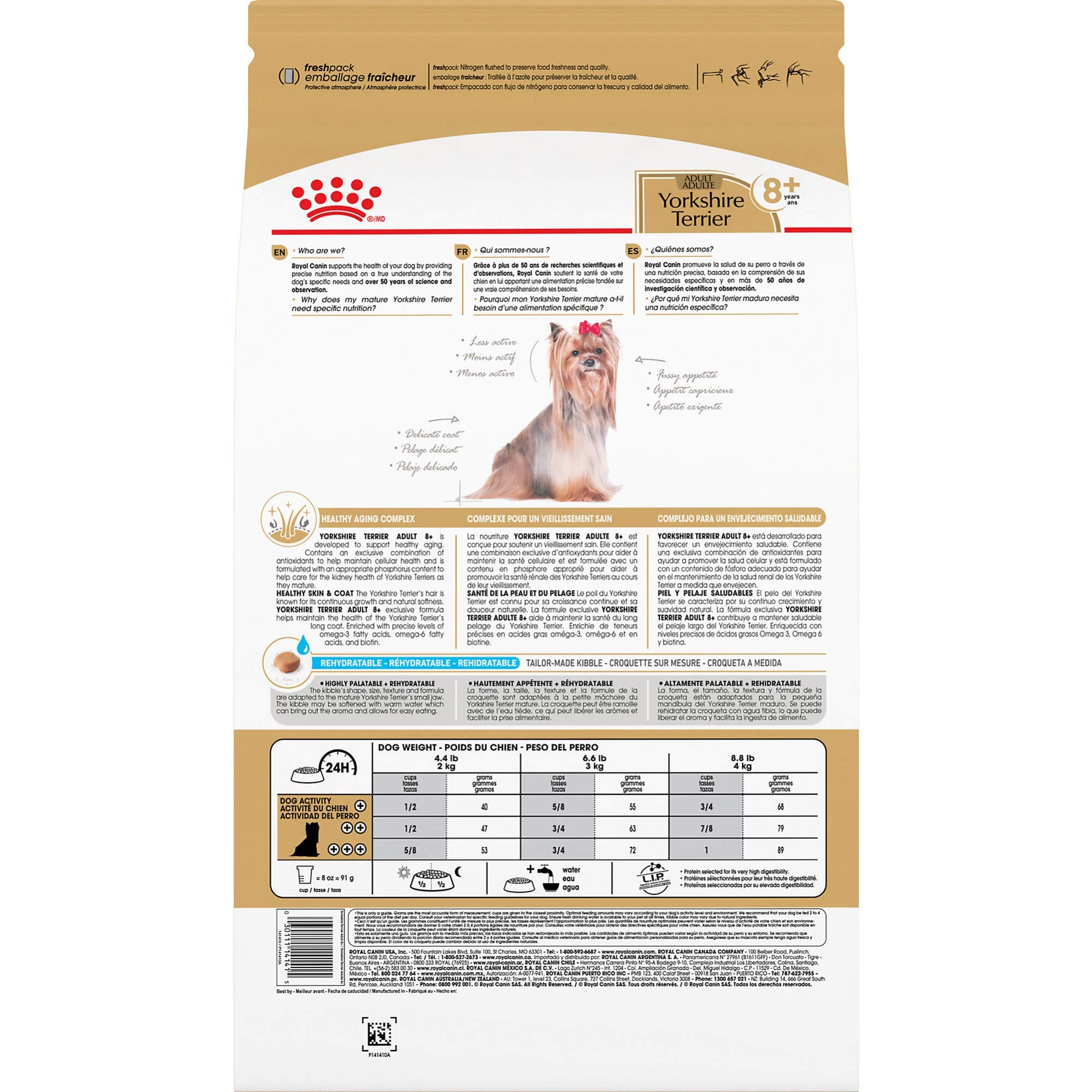 Royal Canin Yorkshire Terrier 8+ kibble softened with warm water to enhance aroma.