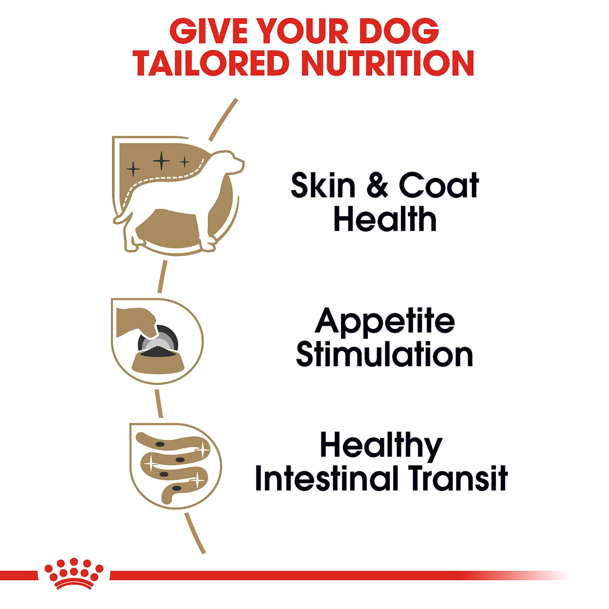 Royal Canin Yorkshire Terrier coat health closeup highlighting omega fatty acids and biotin