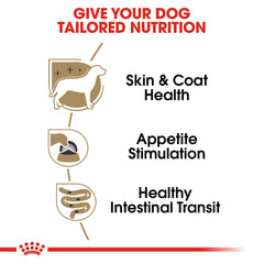 Royal Canin Yorkshire Terrier coat health closeup highlighting omega fatty acids and biotin