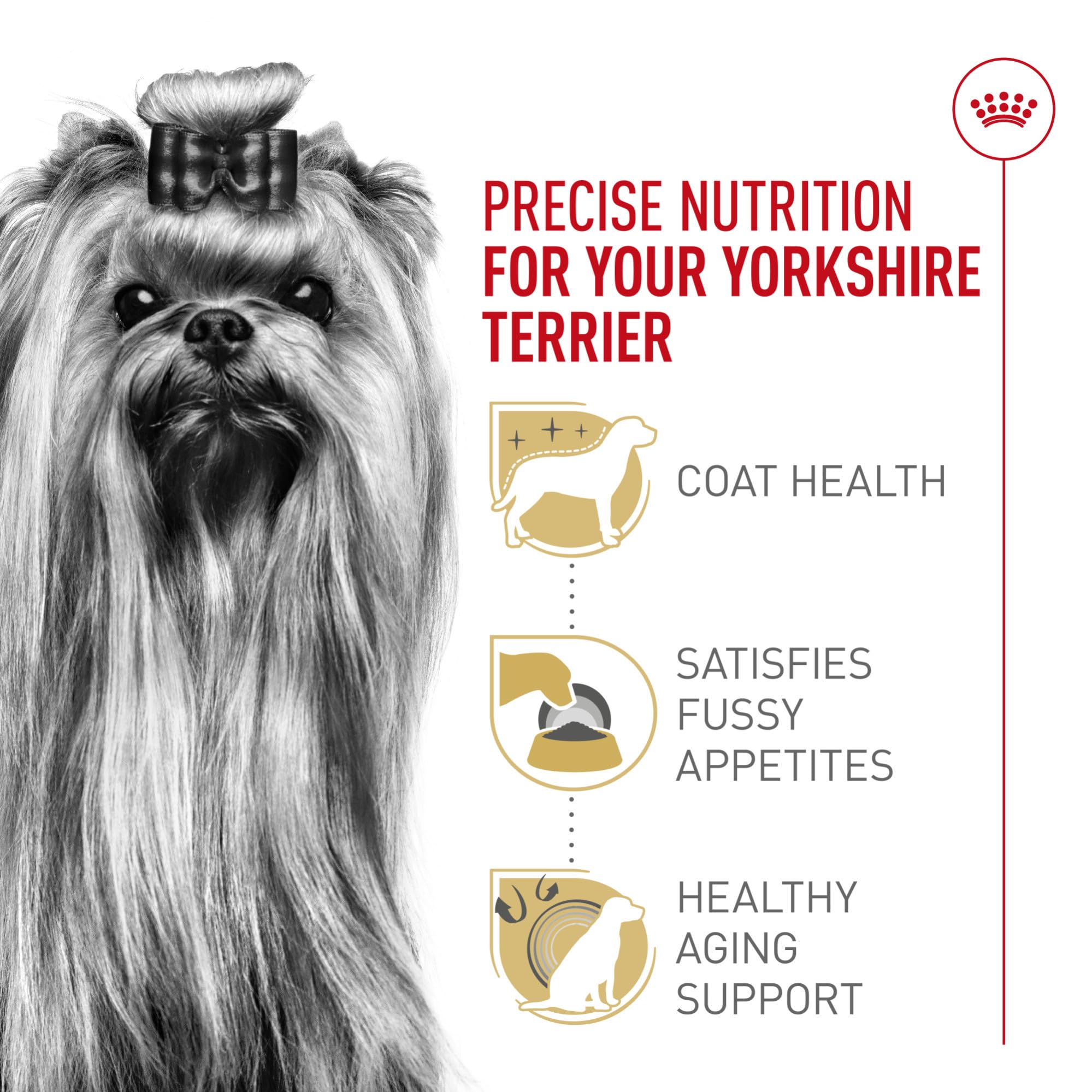 Royal Canin Yorkshire Terrier coat health focus with omega fatty acids for a shiny coat.