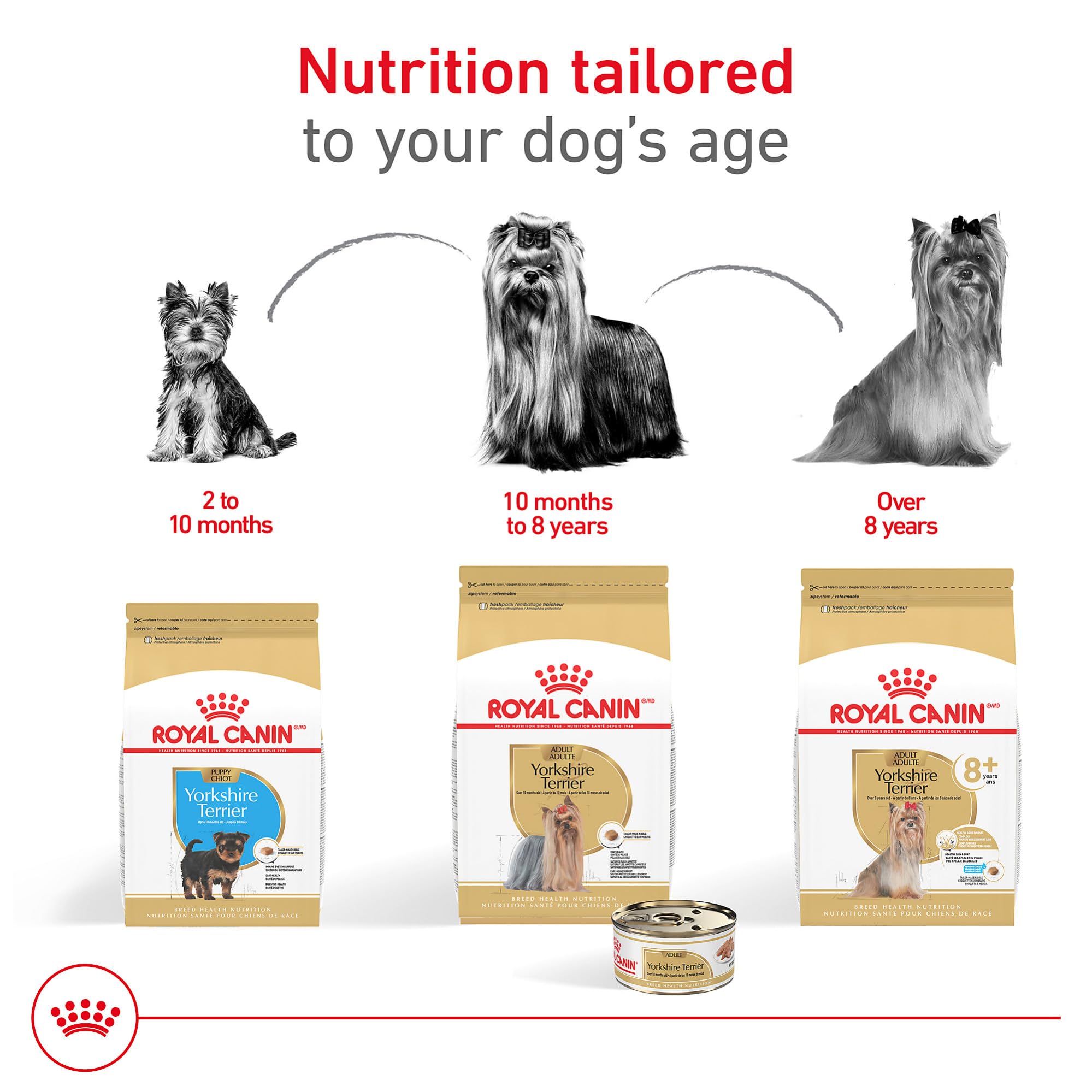 Royal Canin Yorkshire Terrier digestive fiber blend closeup supporting small-breed digestion