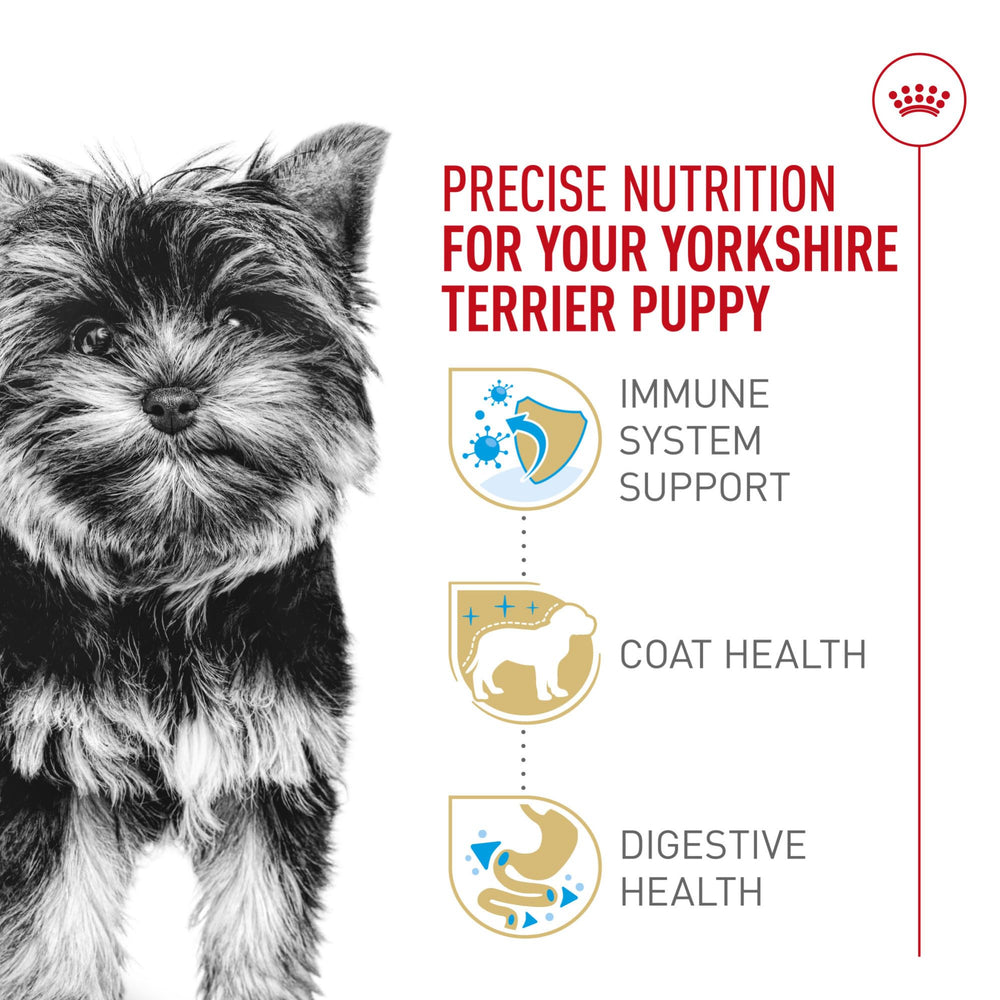 Royal Canin Yorkshire Terrier Puppy formula with antioxidants and vitamin E for immune support