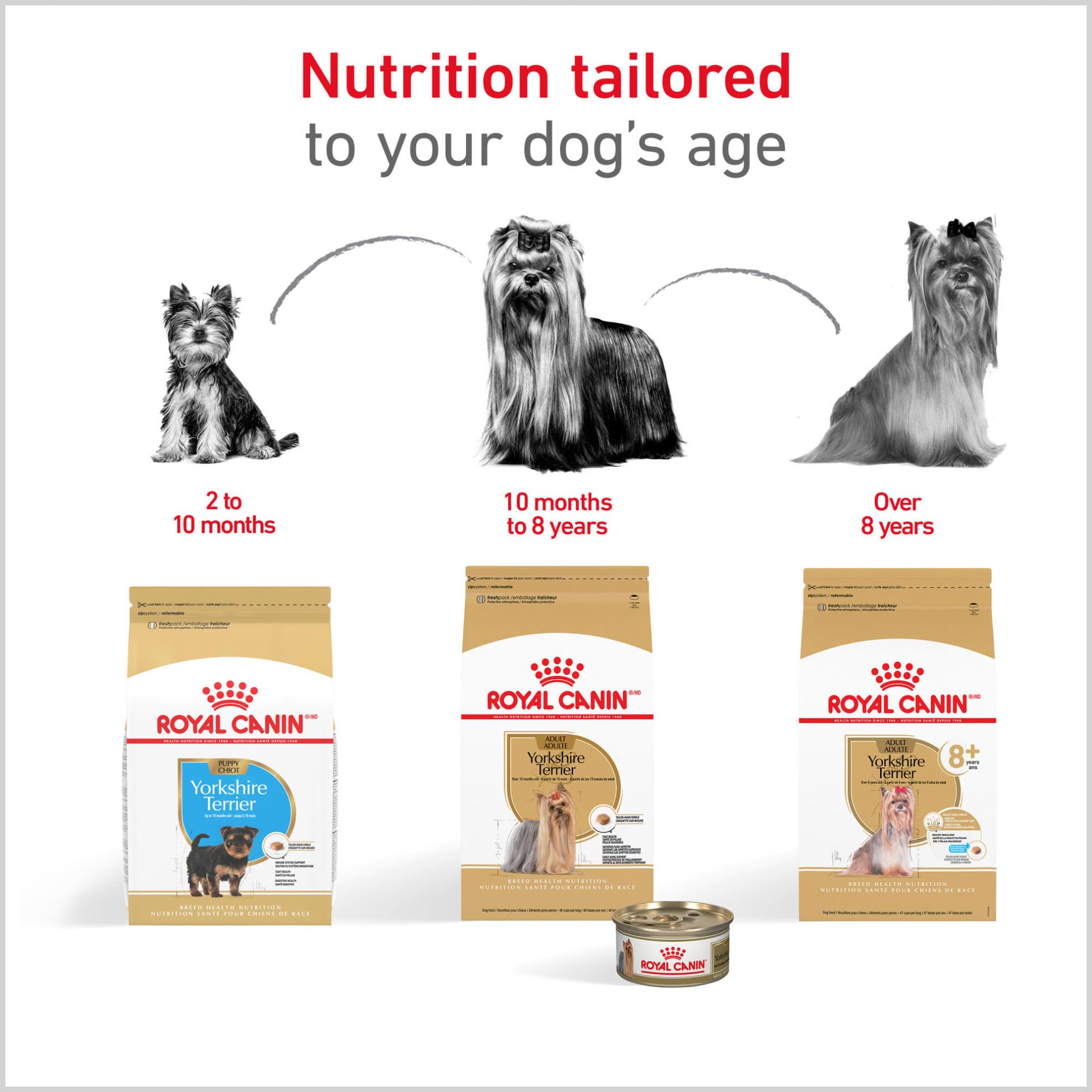 Royal Canin formula with antioxidants and vitamin E supporting growing puppies
