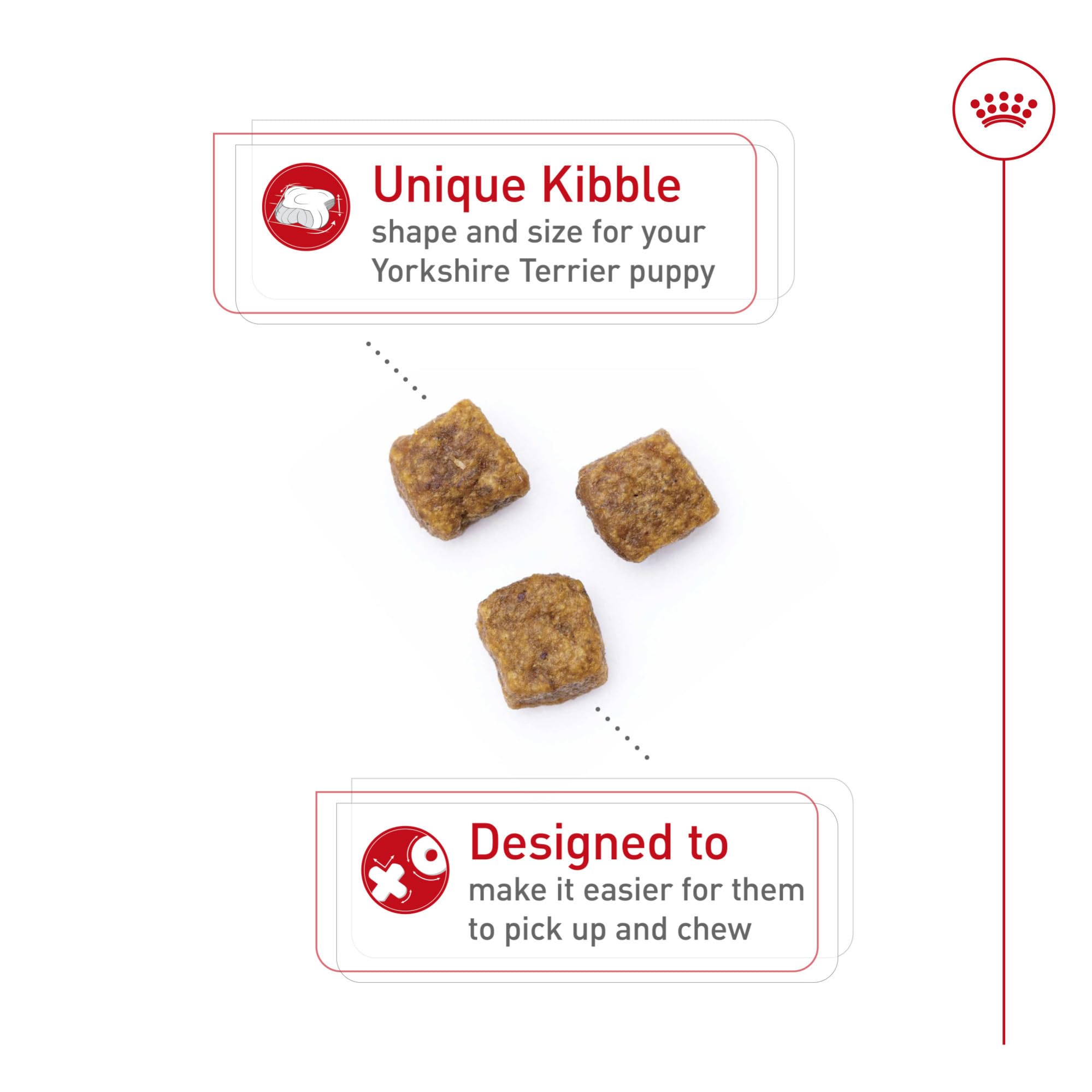 Royal Canin kibble close-up showing texture for easy chewing