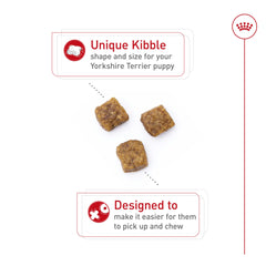 Royal Canin kibble close-up showing texture for easy chewing