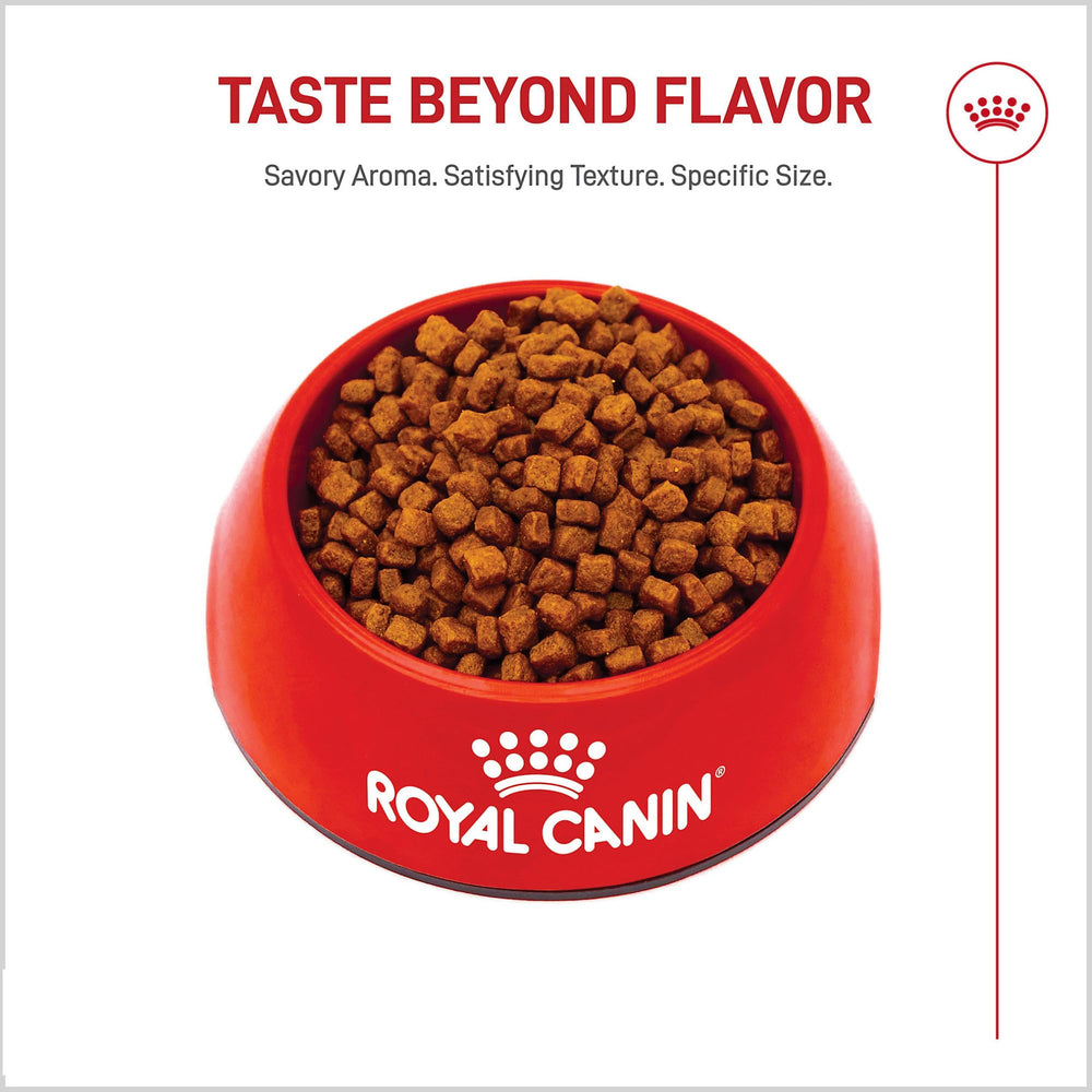 Pairs well with Royal Canin X-Small Puppy Thin Slices in Gravy for mixed feeding