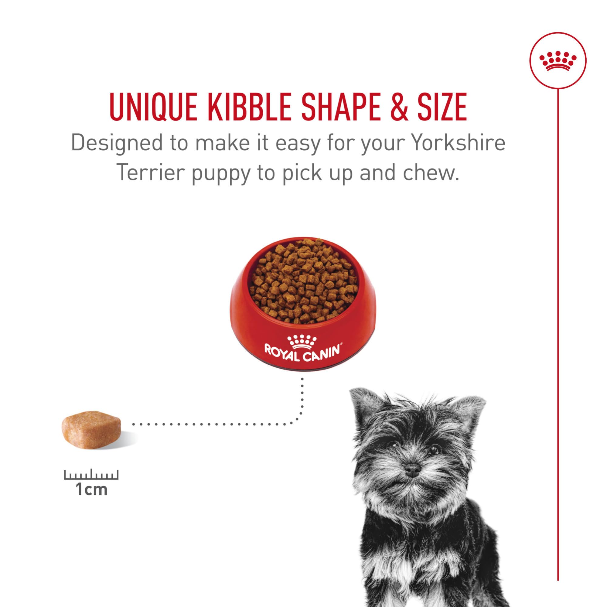 Royal Canin Yorkshire Terrier Puppy formula promoting healthy skin and coat