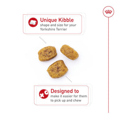 Royal Canin Yorkshire Terrier kibble enriched with biotin and fatty acids for healthy skin and coat