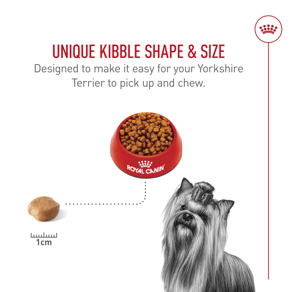 Royal Canin Yorkshire Terrier dental-friendly kibble encourages chewing to support tartar management.