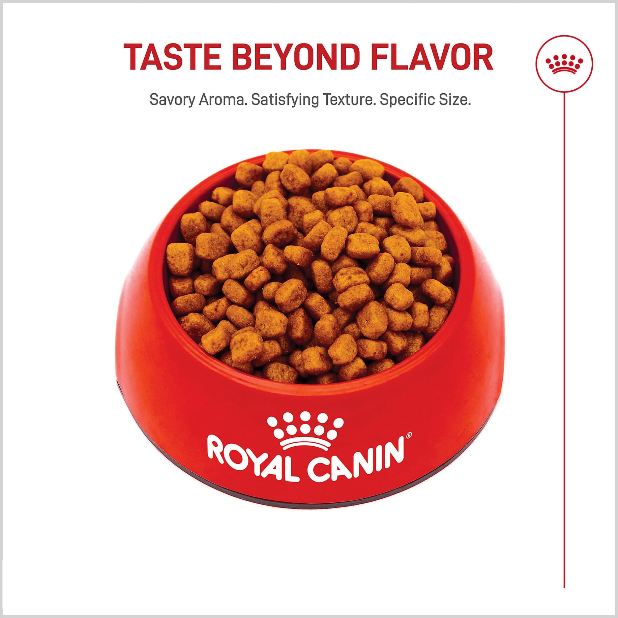 Royal Canin dry formula pairs well with Royal Canin Yorkshire Terrier Loaf in Sauce Wet Food