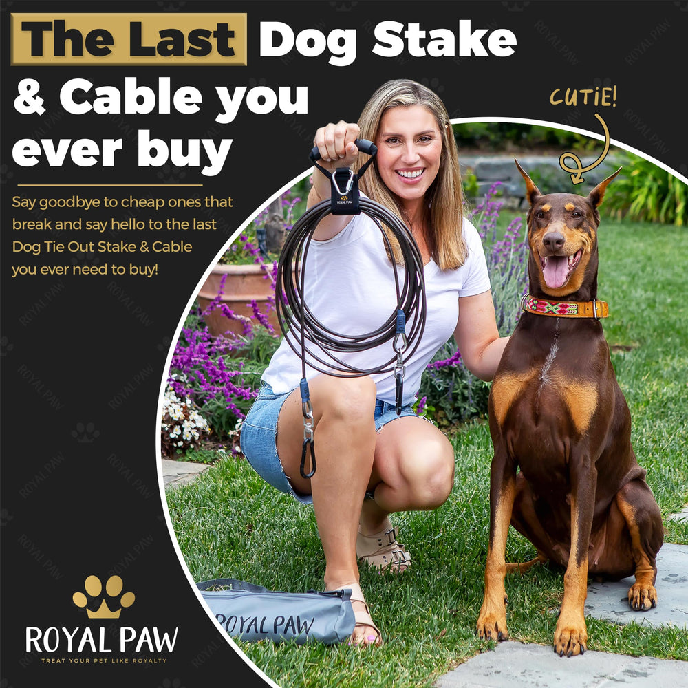 ROYAL PAW camping setup with tie-out in outdoor trail for reliable anchor