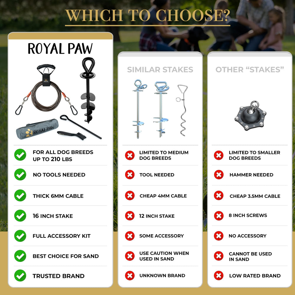ROYAL PAW tie-out setup during camping for outdoor freedom.