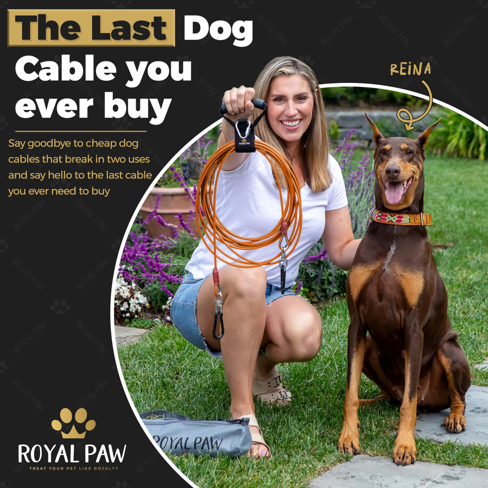 ROYAL PAW 30ft tie out features rustproof 316 stainless steel for outdoor reliability