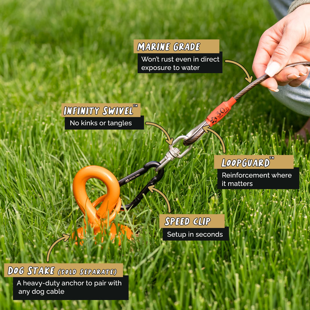 ROYAL PAW Dog Tie Out Cable marine-grade stainless steel resists rust in wet environments