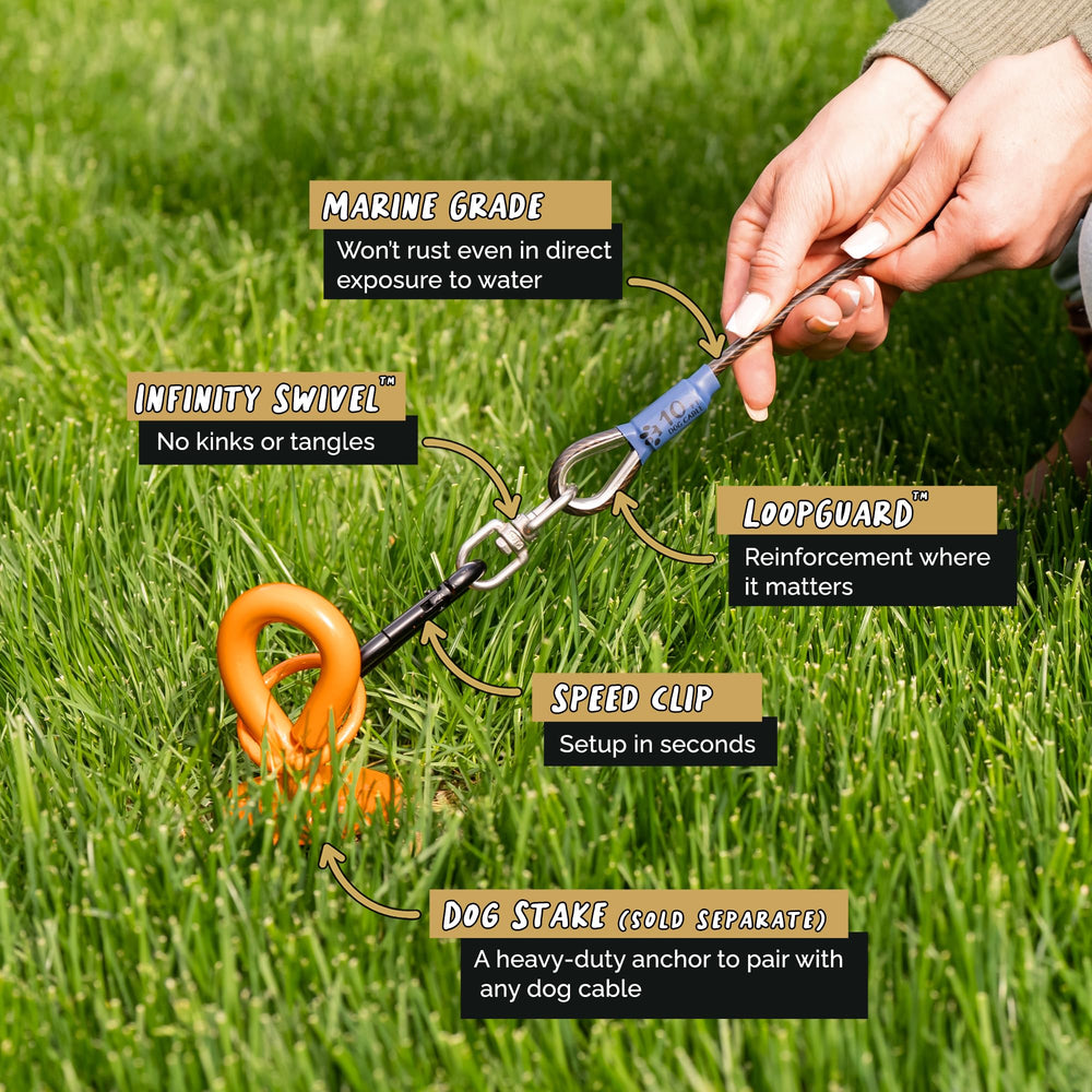 ROYAL PAW heavy-duty stake paired with the cable for stable outdoor setup