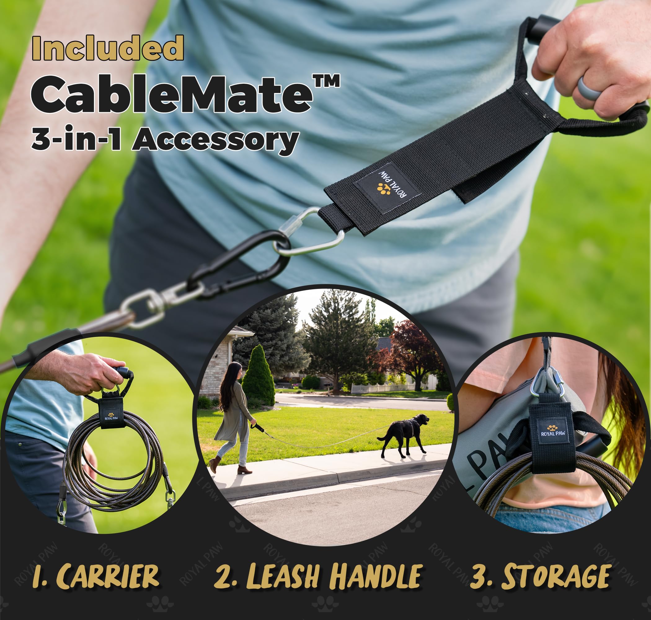 Royal Paw outdoor-use setup at the beach or park demonstrates durability.