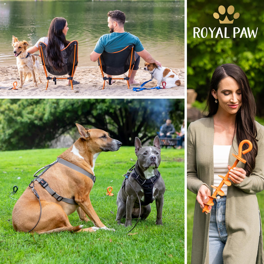 Gift-ready packaging from Royal Paw conveys safety and reliability for pet owners.