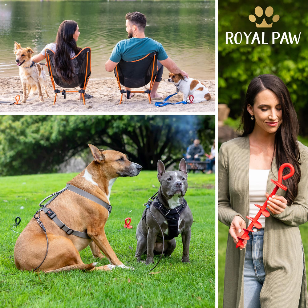 Royal Paw USA made build quality supports outdoor use.