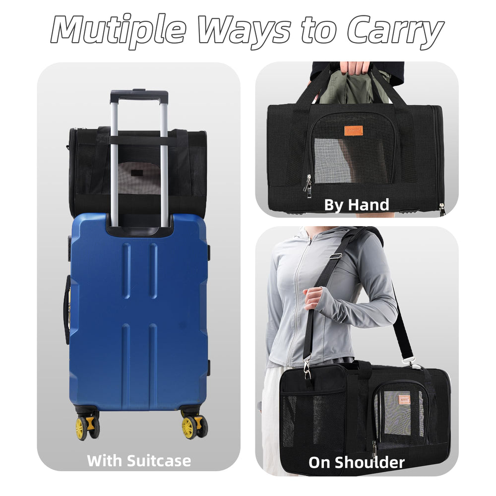 ROYPET black design cat carrier offers timeless style for daily travel.