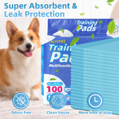 Roypet quick-dry surface for rapid moisture absorption and faster paw comfort