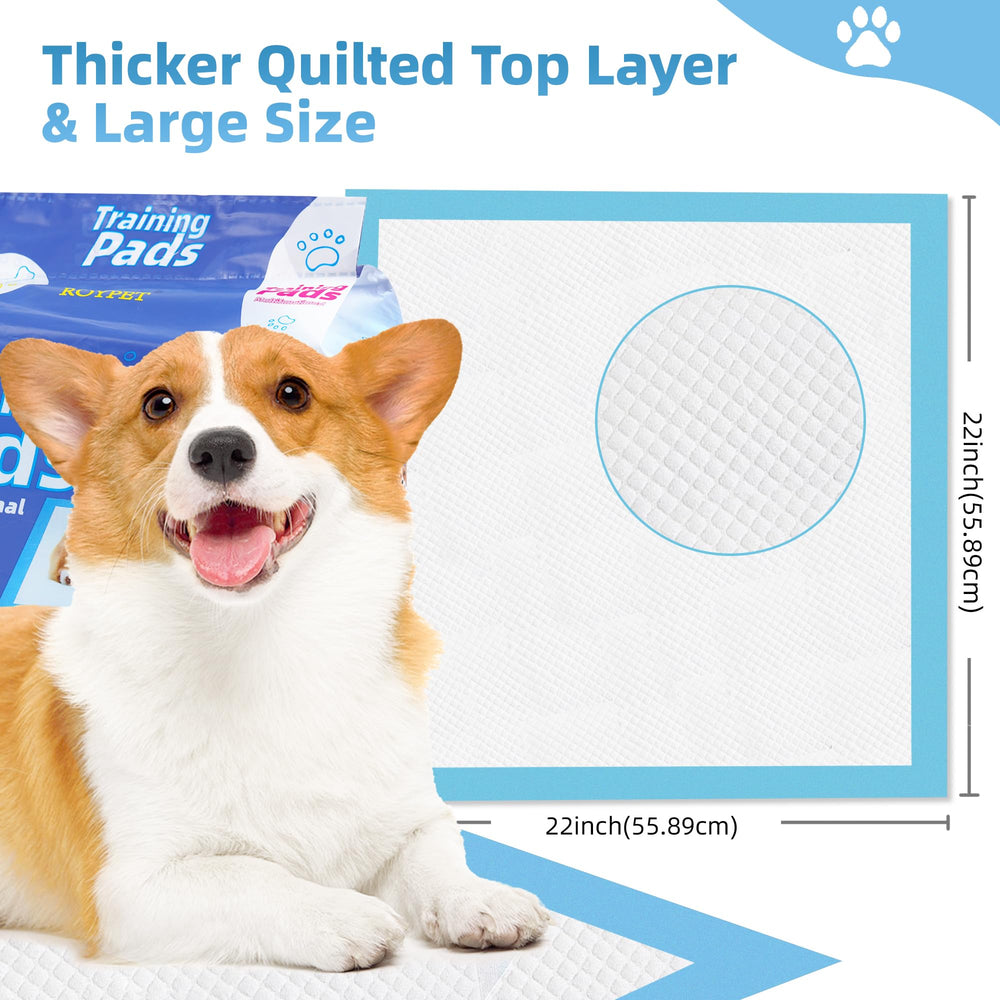 Roypet soft quilted top offers gentle comfort on paws