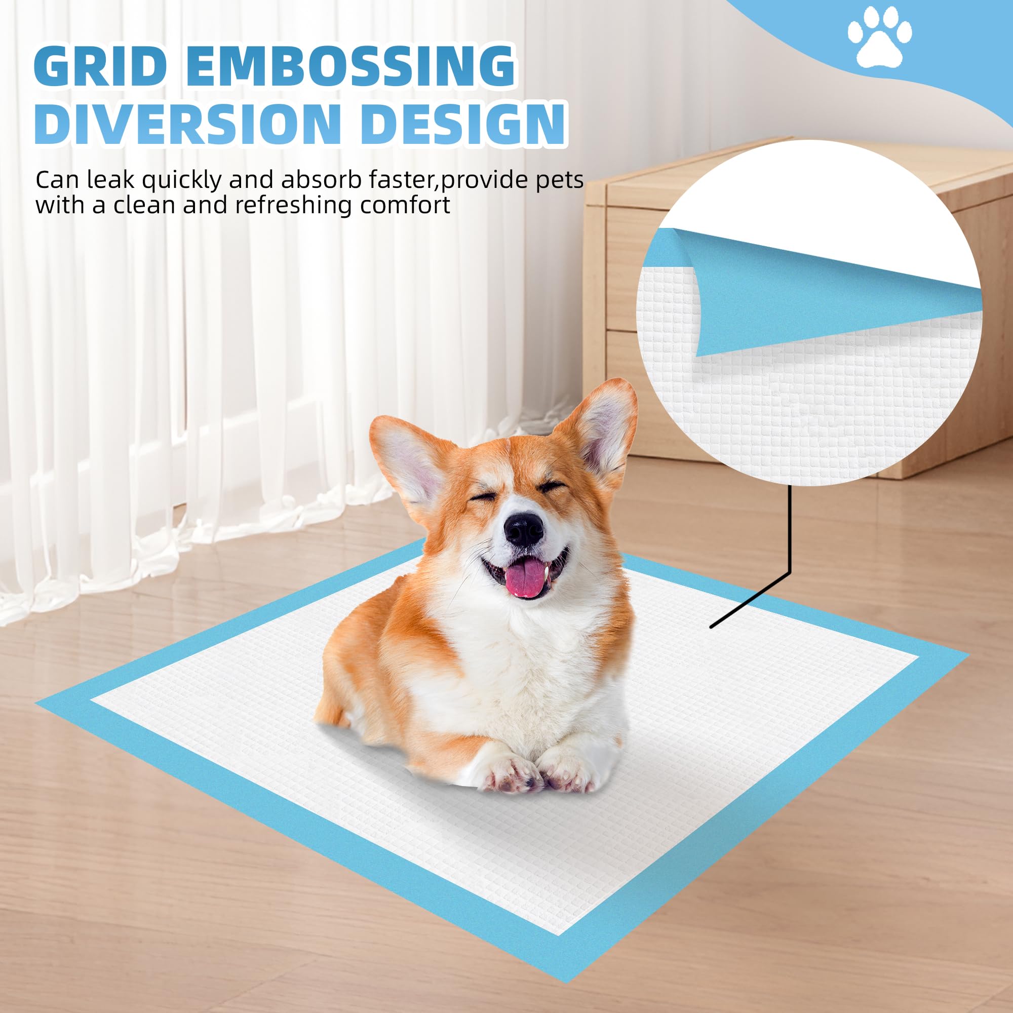 Roypet training attractant guides puppies to the right potty spot