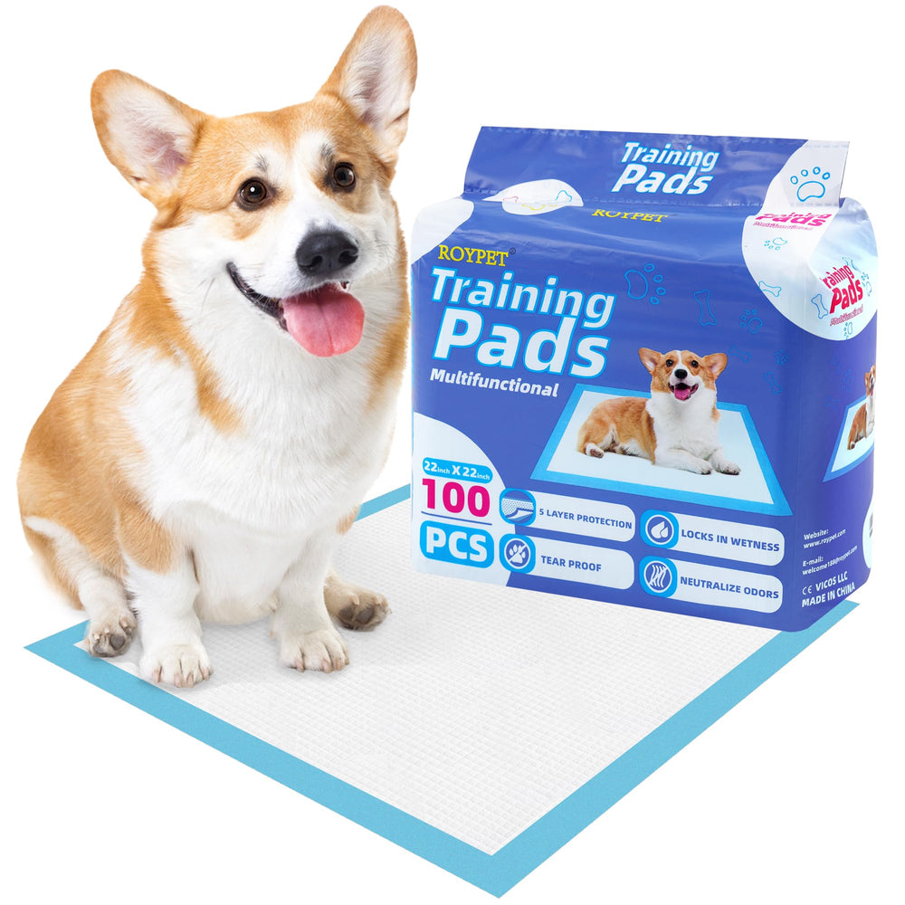 Roypet pads provide versatile protection for puppies, seniors, and travel