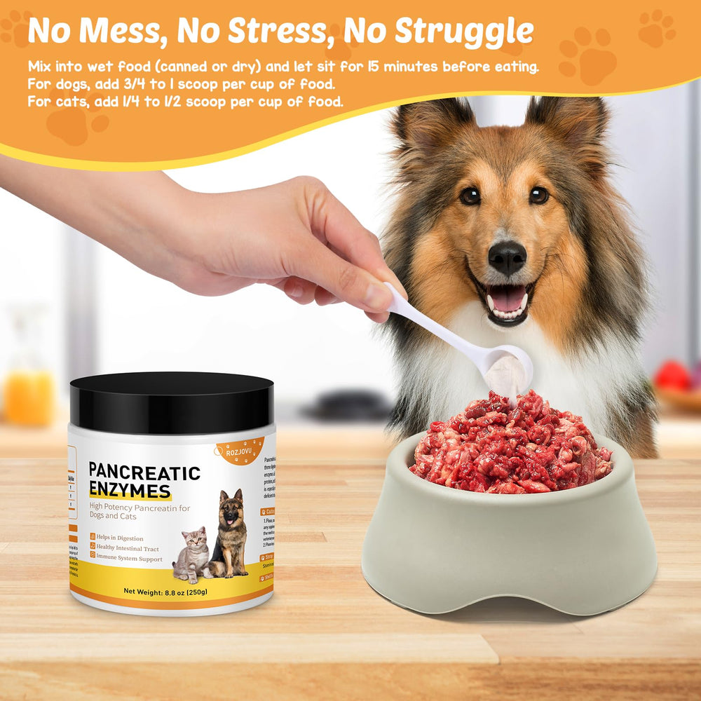 ROZJOVU vet-approved enzyme supplement supports canine GI comfort.