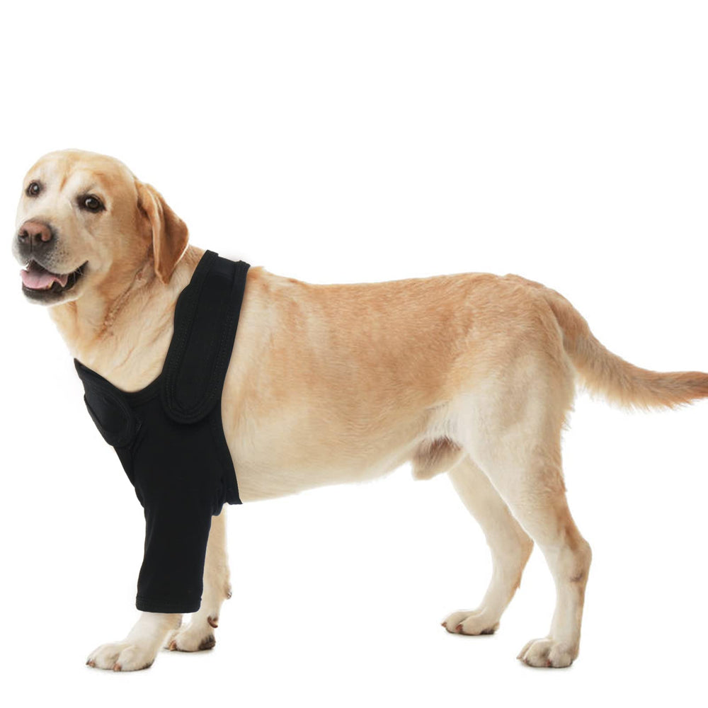 ROZKITCH size range guides choosing the right fit for your dog