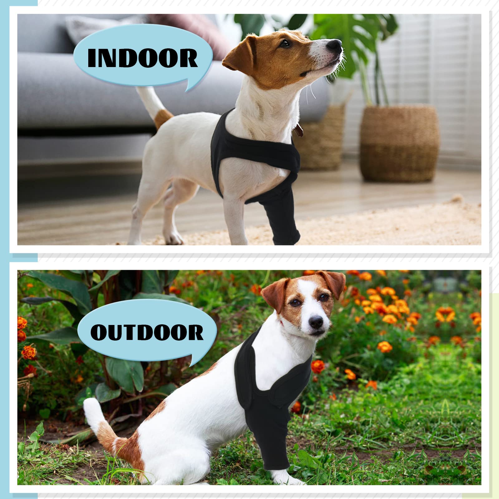 ROZKITCH washable and reusable dog sleeve in everyday use