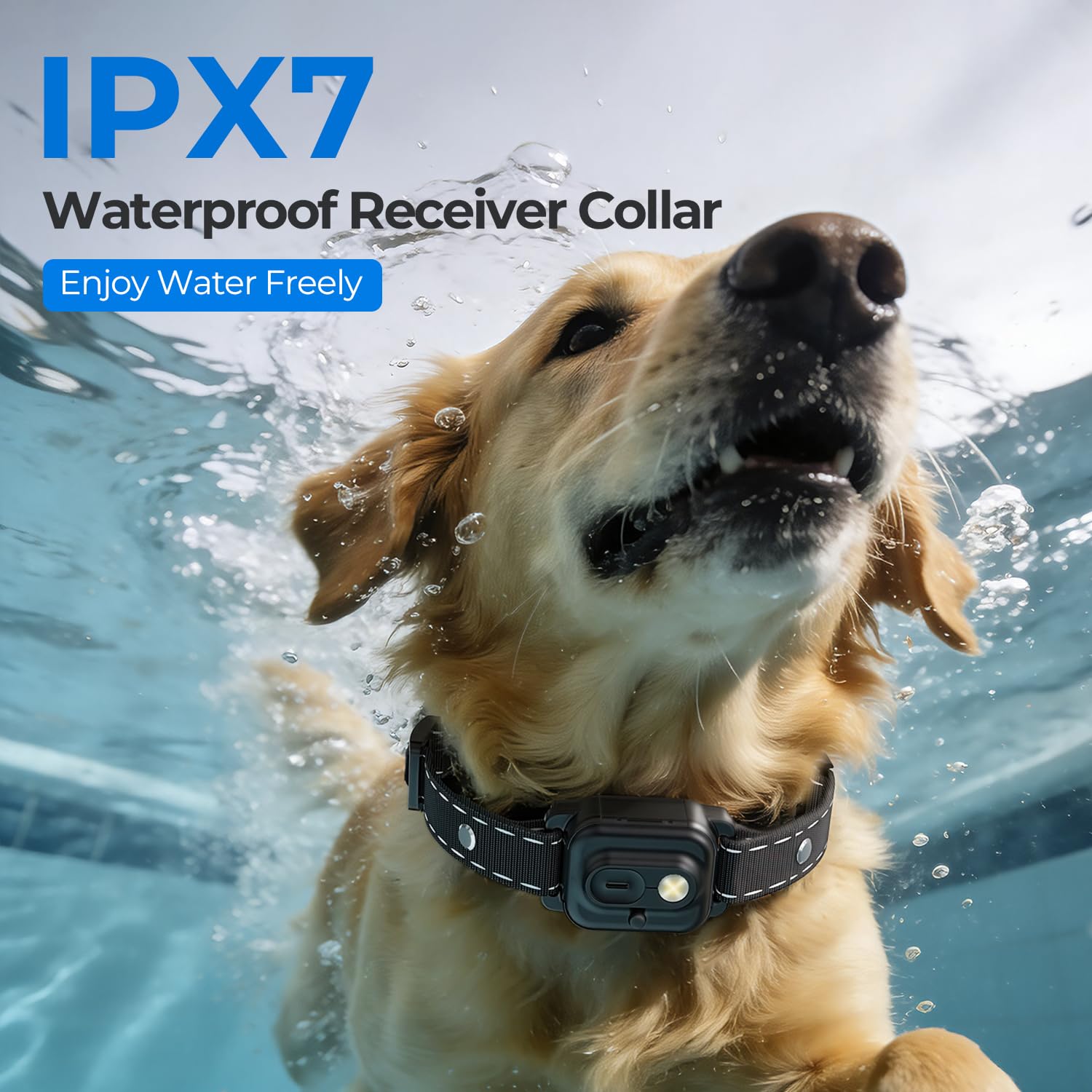 RPZ IPX7 waterproof collar for water-loving dogs.
